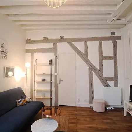 Centre Vieux Dans Immeuble Historique 3p